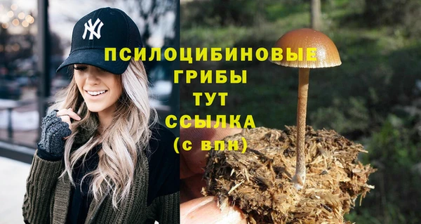 MDMA Абдулино