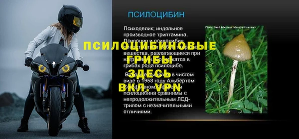 спайс Абаза