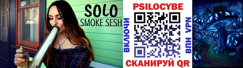 Галлюциногенные грибы Psilocybe Домодедово